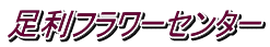 t[Z^[