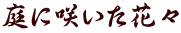 ɍ炢ԁX