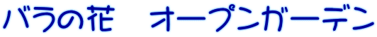 ỏԁ@I[vK[f