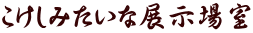 ݂ȓWꎺ