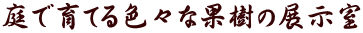 ňĂFXȉʎ̓W
