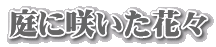 ɍ炢ԁX