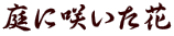 ɍ炢