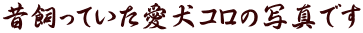 ̎ĂR̎ʐ^ł