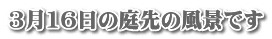 316̒̕ił