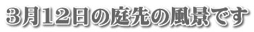 312̒̕ił