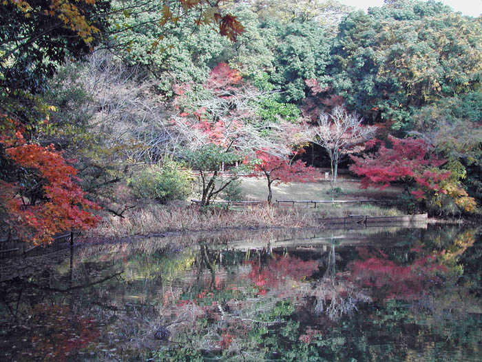 立田自然公園