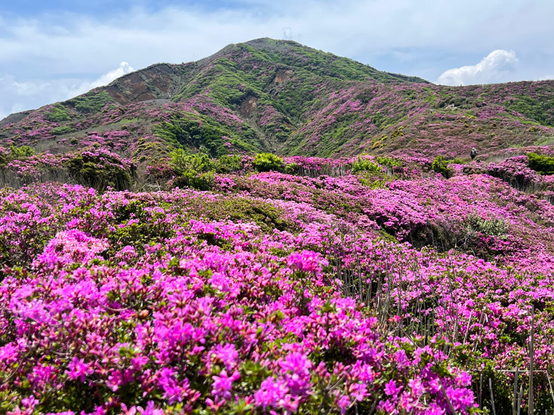 阿蘇 烏帽子岳