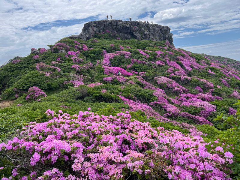 阿蘇 高岳 中岳 楢尾岳