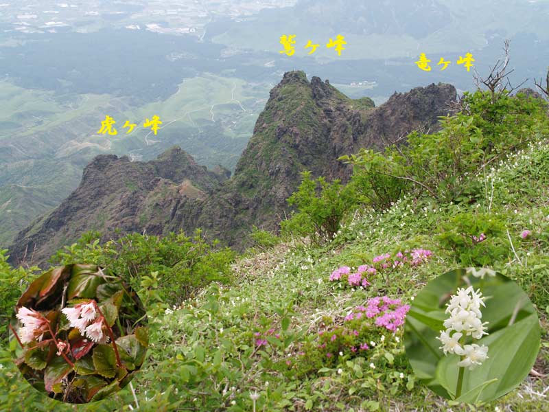 阿蘇高岳・中岳縦走