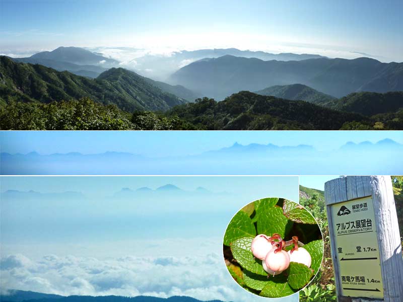 白山