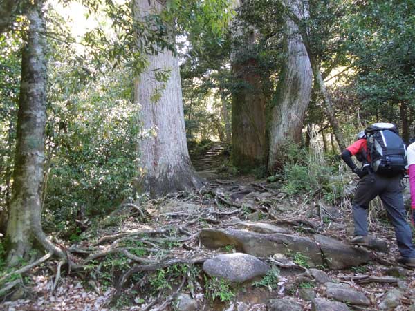 【中古】 みみらくの島/青簡舎/山下道代 阿蘇外輪山「鞍岳」～「ツームシ山」の稜線散歩。ミヤマキリシマ