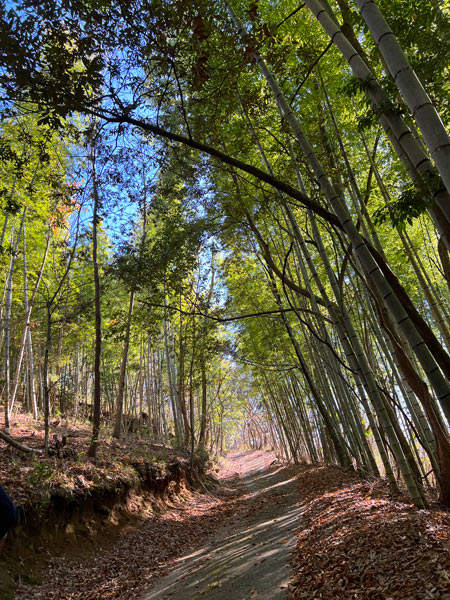 特価　日本 使用済切手 山岳風景 管理番号156 日本の山岳シリーズ第5集 郵便切手のデータ