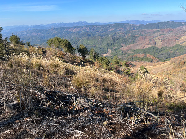 特価　日本 使用済切手 山岳風景 管理番号156 山水画 色紙 富士憧憬 富士紅葉 伊藤渓山 高精細特色色紙 : 人形