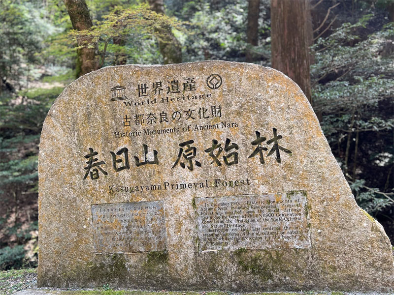 春日山原始林 若草山