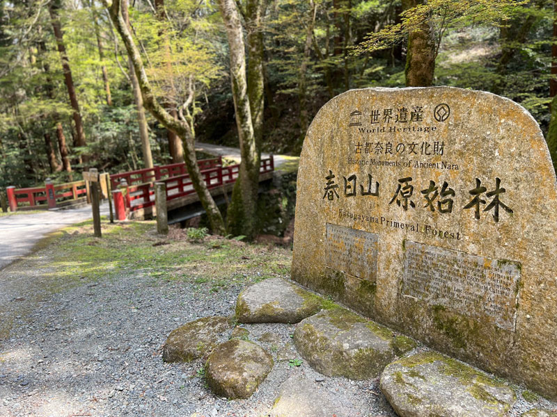 春日山原始林 若草山