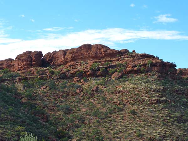 【専用】キングスキャニオン様 FRシリーズ – 株式会社トーキン