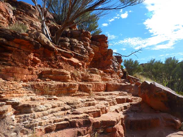 【専用】キングスキャニオン様 キングスキャニオン (ワタルカ国立公園) | 地球の歩き方