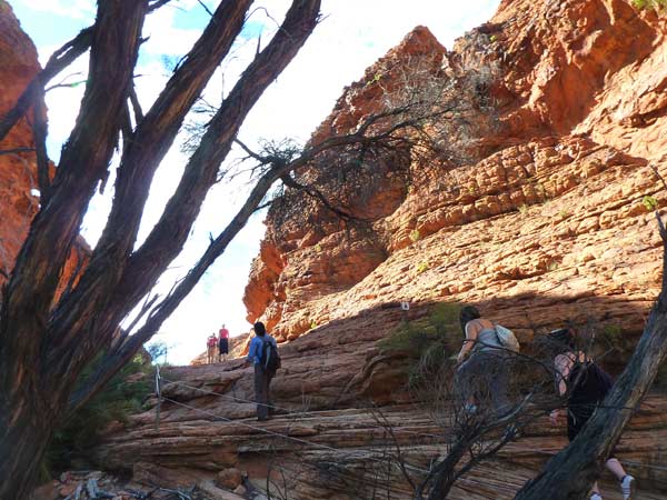 【専用】キングスキャニオン様 FRシリーズ – 株式会社トーキン