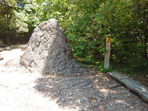 金華山はすページです☆ 金華山
