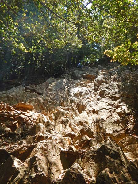 金華山はすページです☆ 金華山