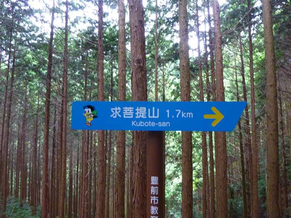 縄文期☆伝豊前市求菩提山麗周辺出土山吹古色極上古