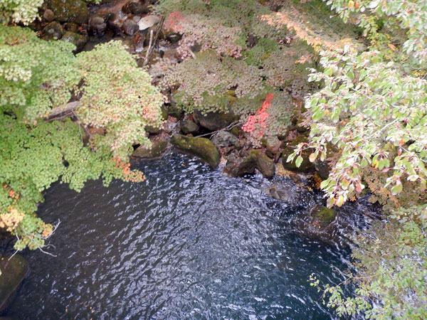 泉水山 大崩ノ辻 黒岩山