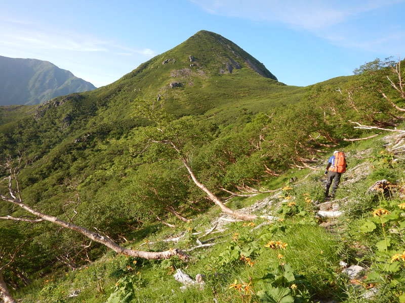 征露岳南武鑑 上 堺孝行33层VG10大马士革山樱主厨三德刀170mm 配十二角山樱木手柄