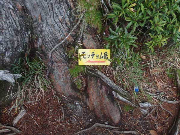 もっちょむ。 モッチョム岳