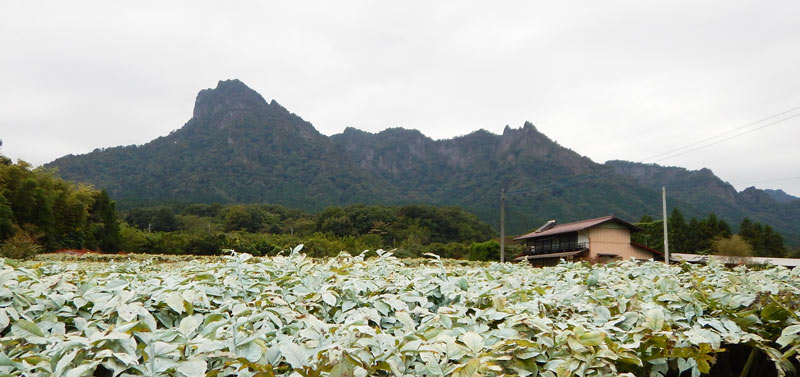 妙義山