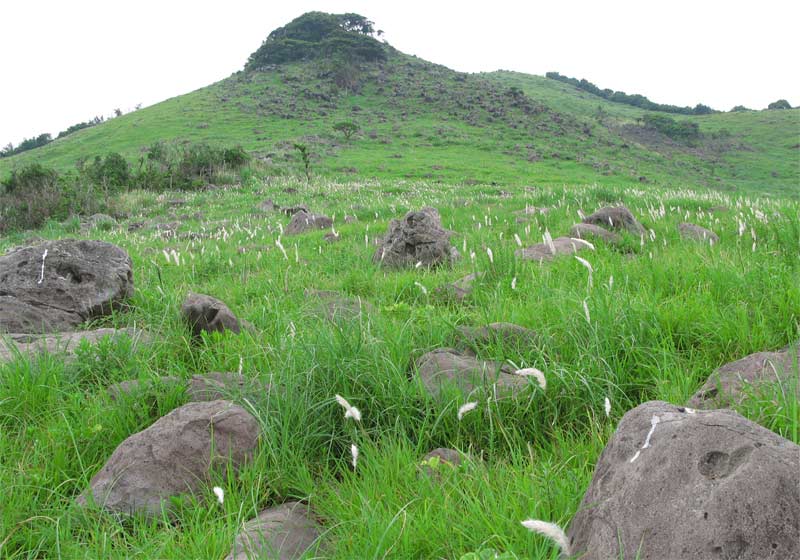 山崖 Heppoko Climbing】Suzuka Shakagatake(Japan) Climb the