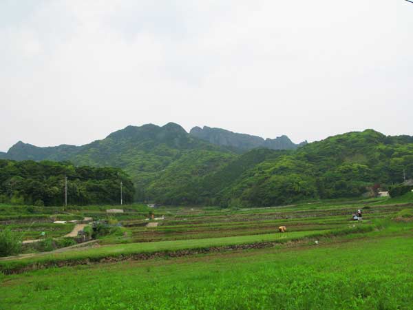 山崖 ホントに九州 最強の低山？】佐賀 黒髪山512m（1） | なおさん