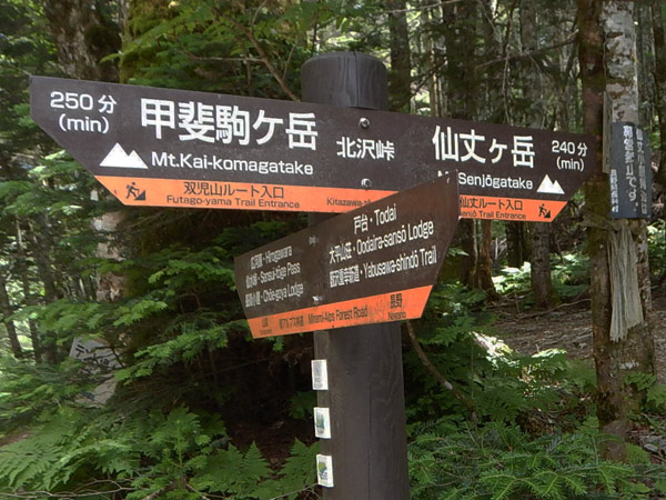 仙丈ヶ岳