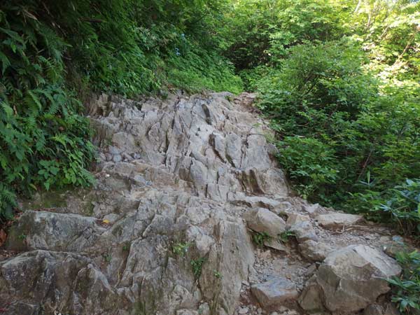 谷川岳の岩場(山と渓谷社) 山と渓谷社 谷川岳の岩場｜Yahoo!フリマ（旧PayPayフリマ）