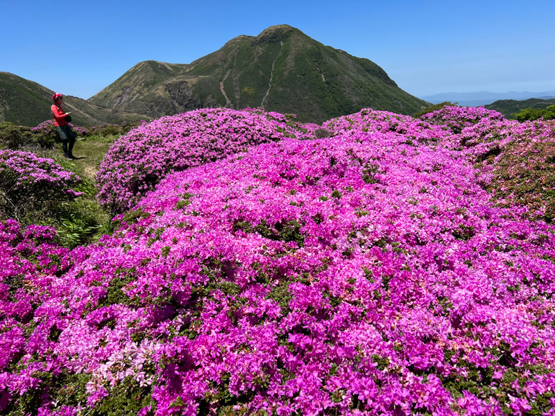立中山