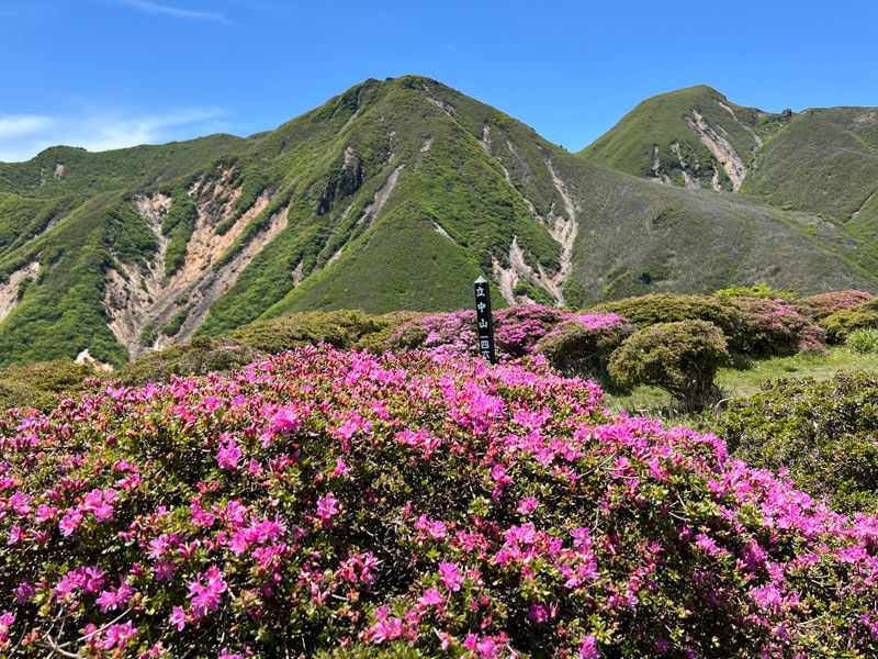 立中山