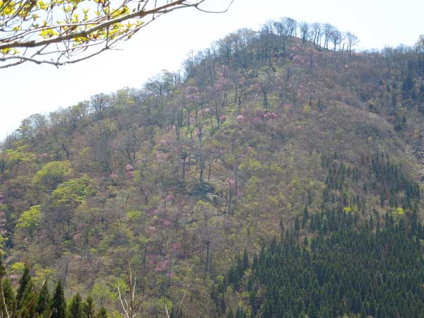 釣鐘型硯、寒山寺 （♪鐘が鳴ります寒山寺 ②観光ルート・寒山寺