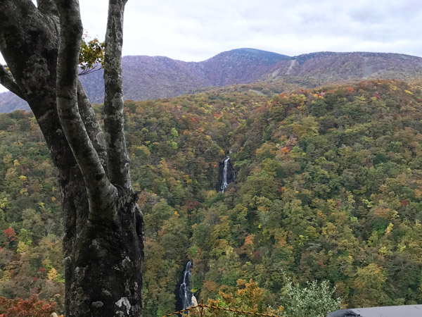 蔵王山